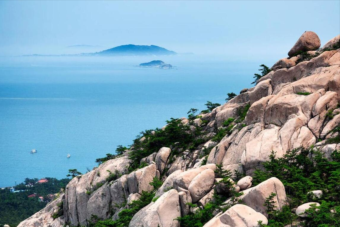 山东阳光下的故事篇章