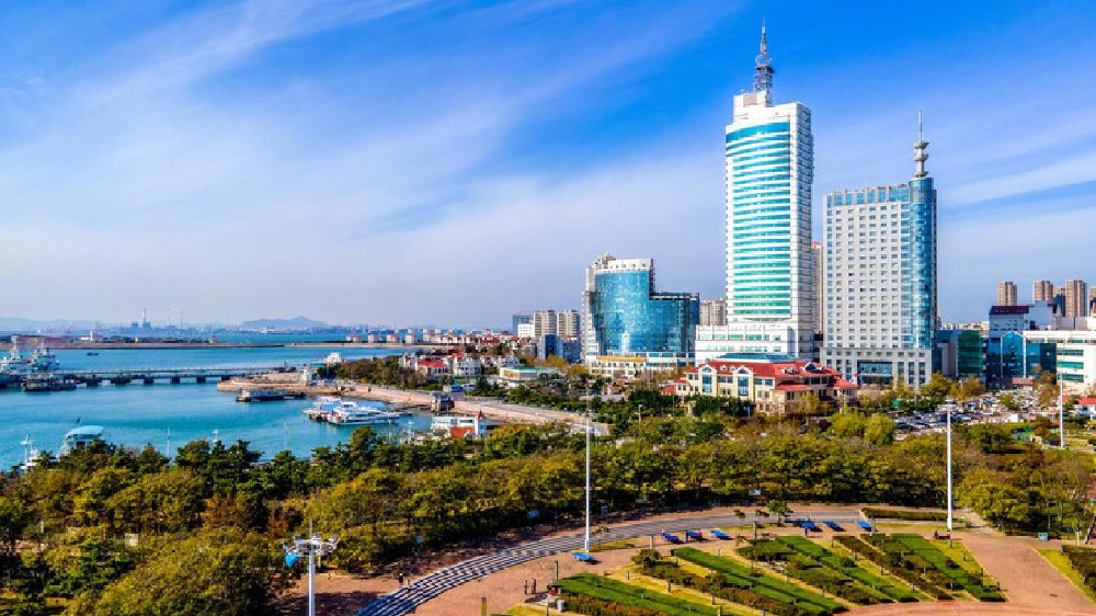 山东阳光下的故事篇章