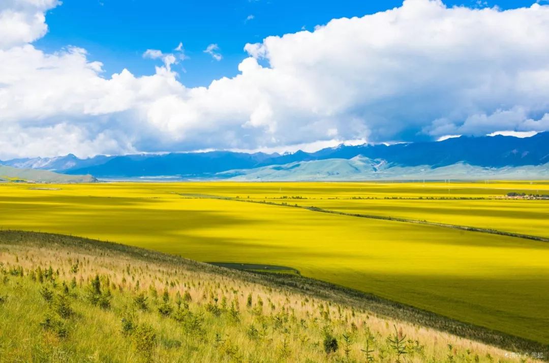 青海深度游，地理、历史与文化的探索之旅